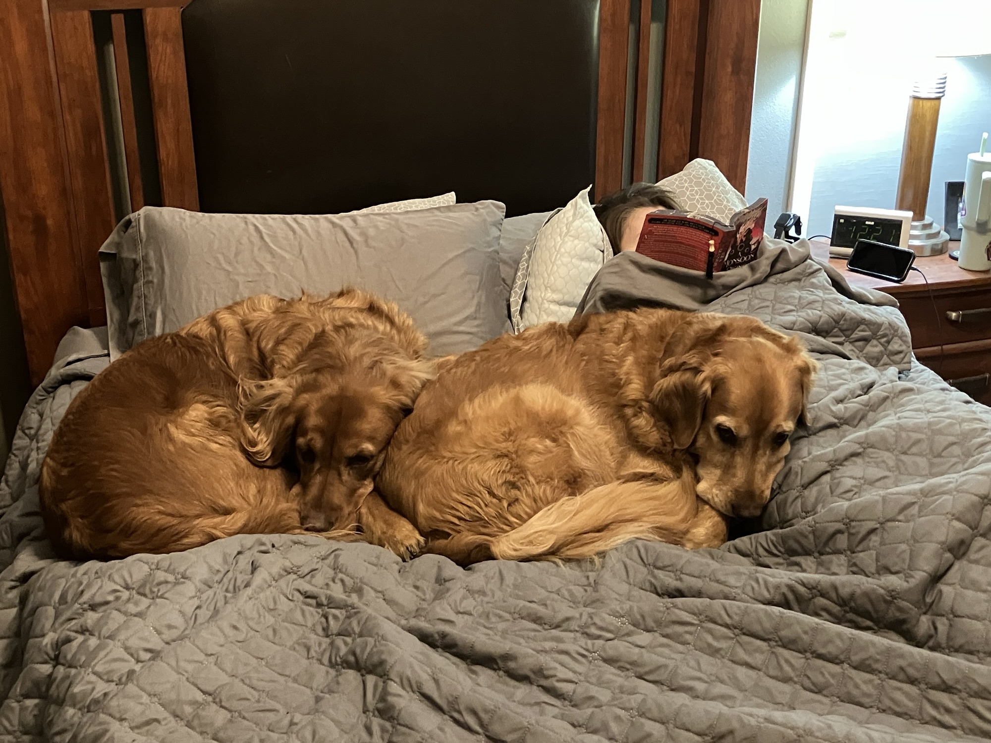 Query trenches: Week one